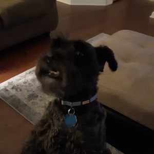 Meet your Posher, Judy